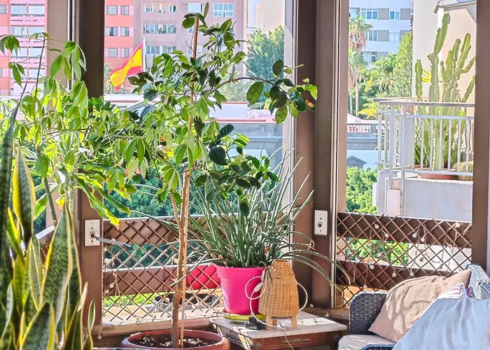 Casa Compartida Weyler Hotel Santa-Cruz de Ténérife