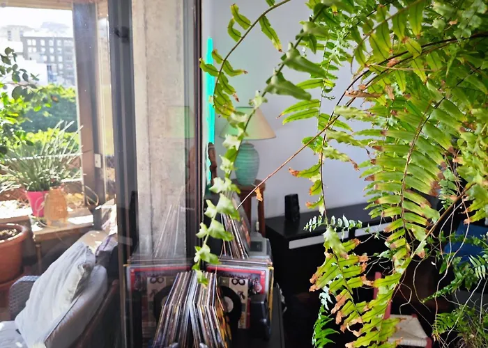 Casa Compartida Weyler Hotel Santa-Cruz de Ténérife