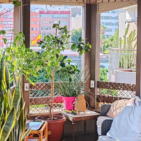 Casa Compartida Weyler 酒店 圣克鲁斯-德特内里费