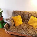 Отель Casa Compartida Weyler *