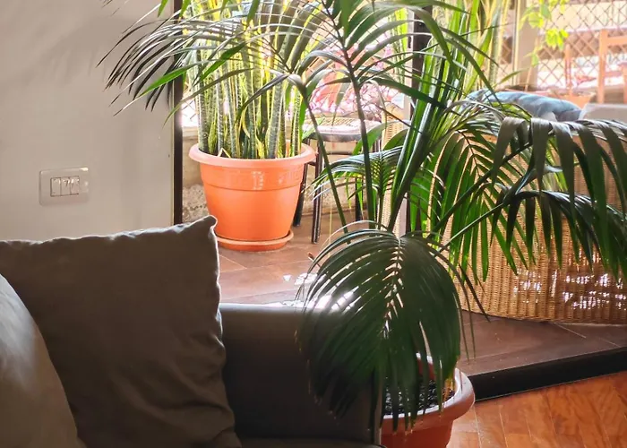 Casa Compartida Weyler Szálloda *