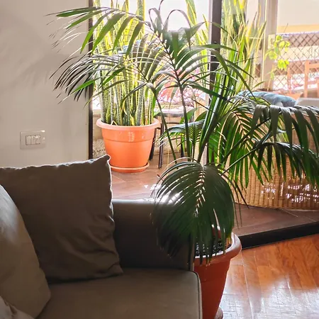 Casa Compartida Weyler Couette-café *