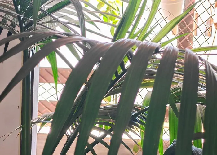 Hotel Casa Compartida Weyler